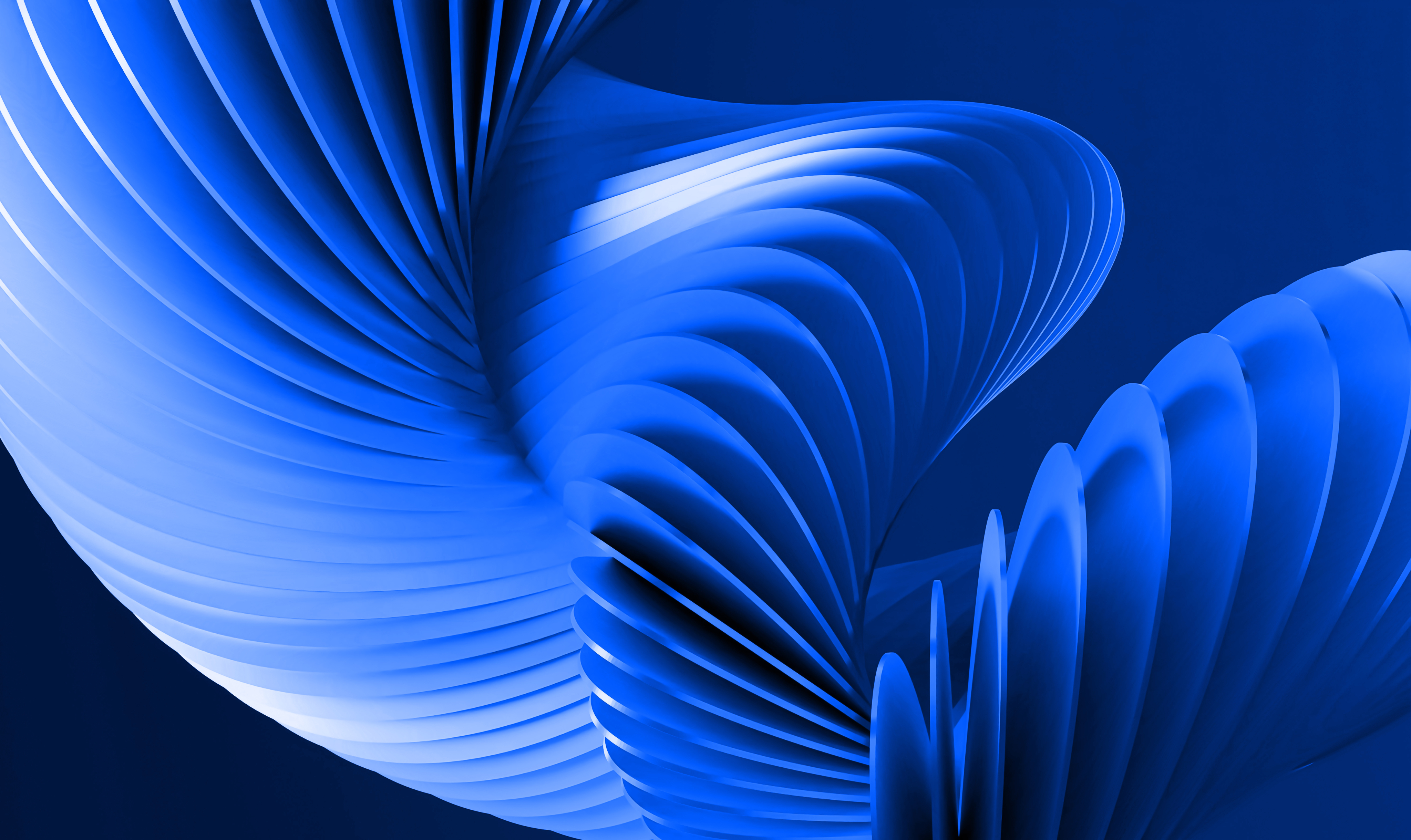 An illustrative sketch of a flower